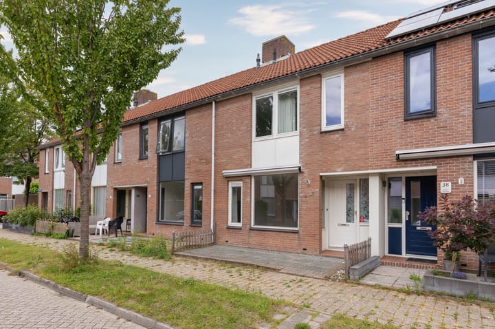 Foto 5 van Koolmees 37