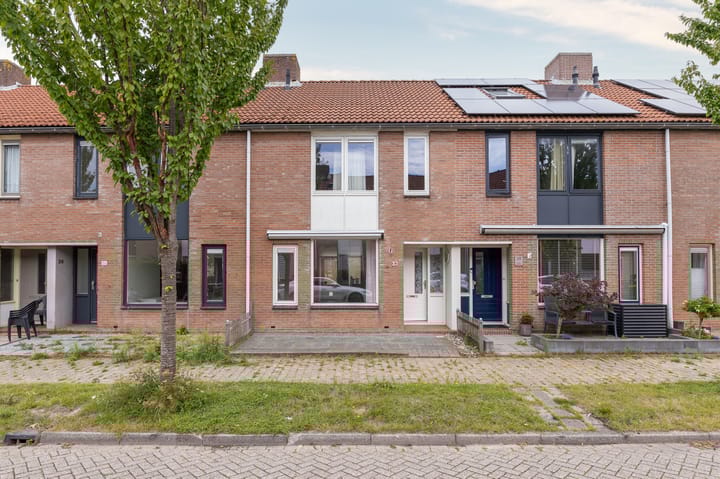 Foto 6 van Koolmees 37