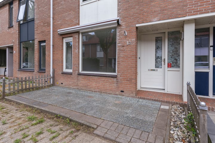 Foto 7 van Koolmees 37