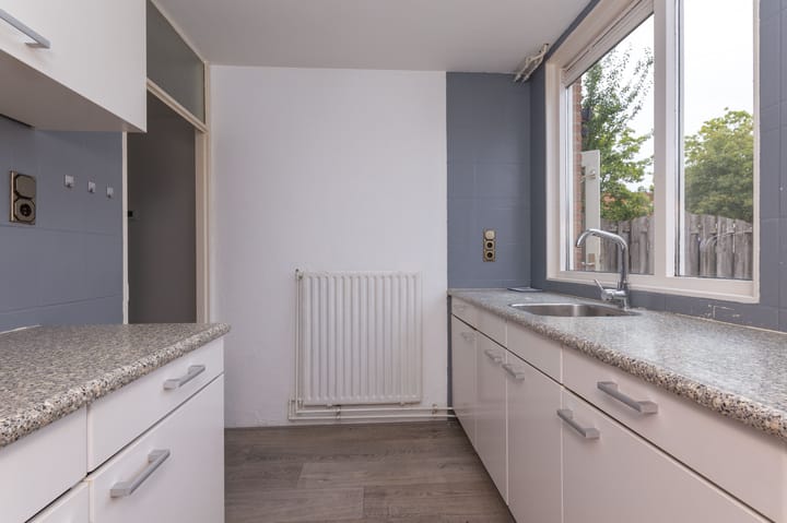 Foto 17 van Koolmees 37