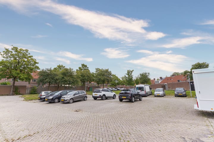 Foto 39 van Koolmees 37