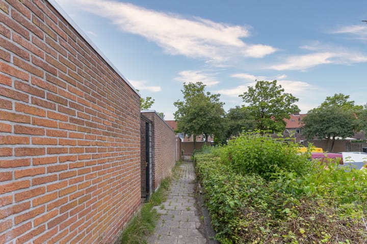 Foto 40 van Koolmees 37