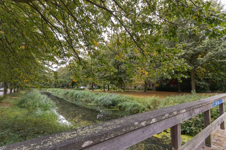 Foto 41 van Koolmees 37