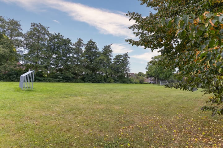 Foto 42 van Koolmees 37