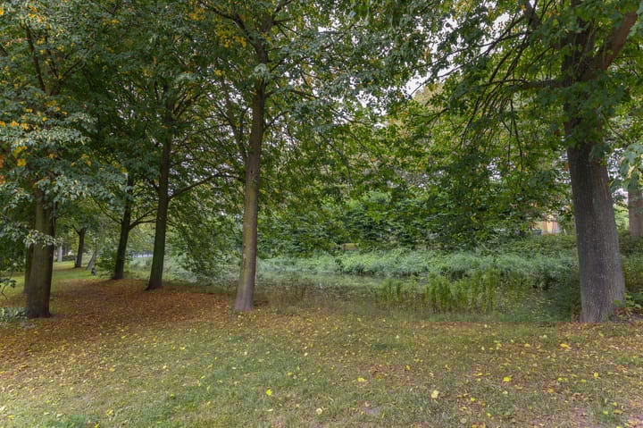 Foto 43 van Koolmees 37