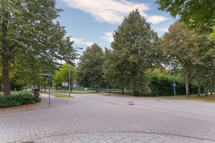 Foto 44 van Koolmees 37