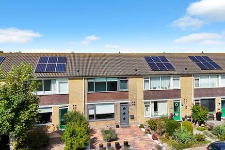 undefined main image