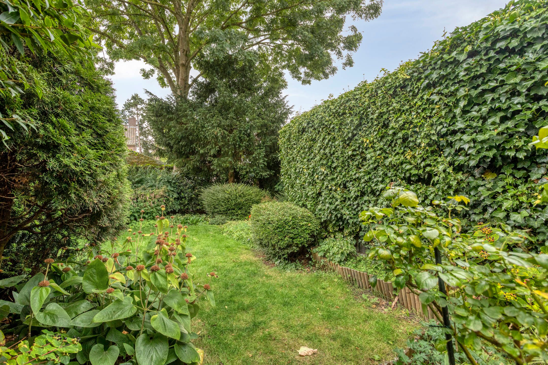 Foto 27 van Rijperweg 49