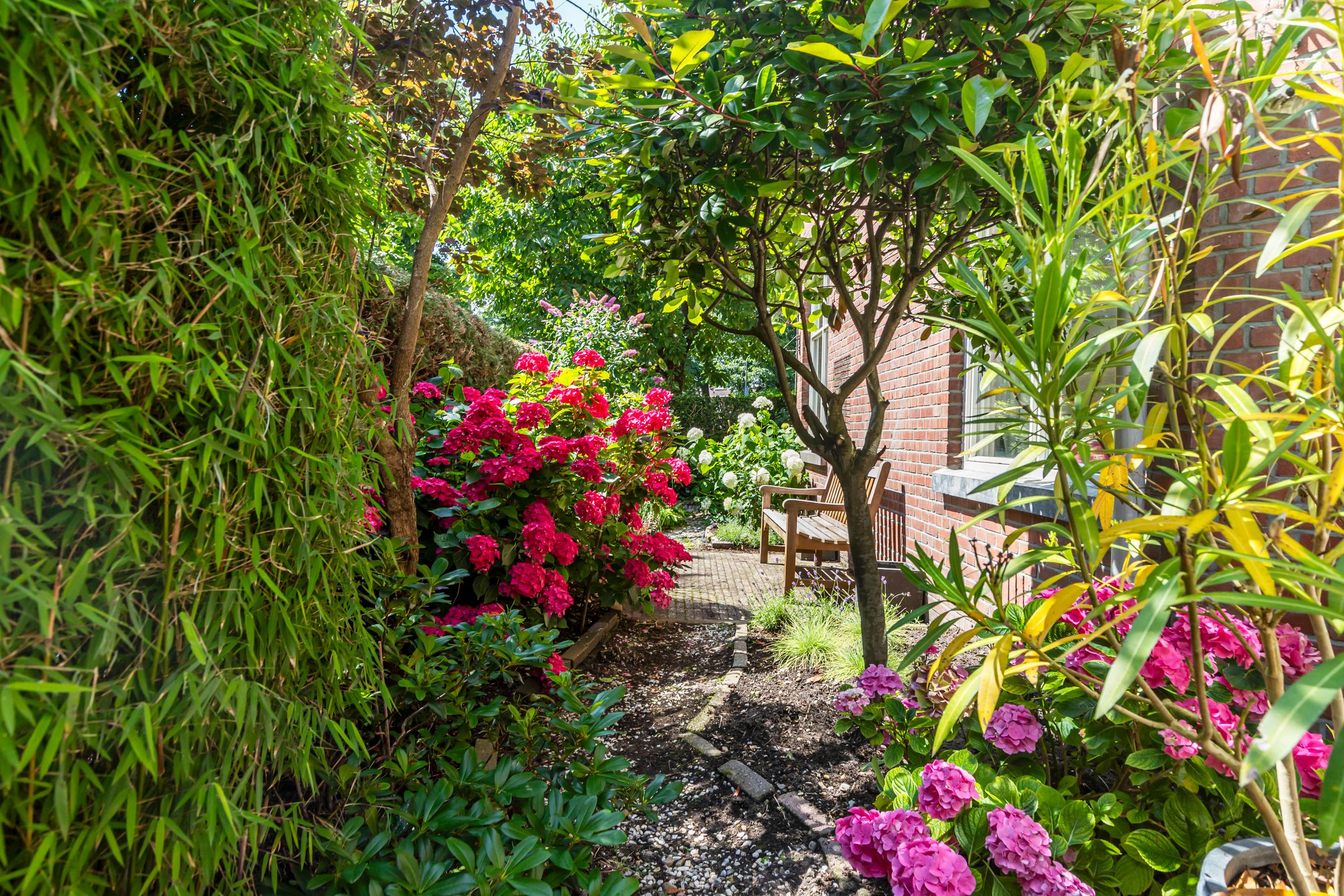 Foto 15 van Beetslaan 3