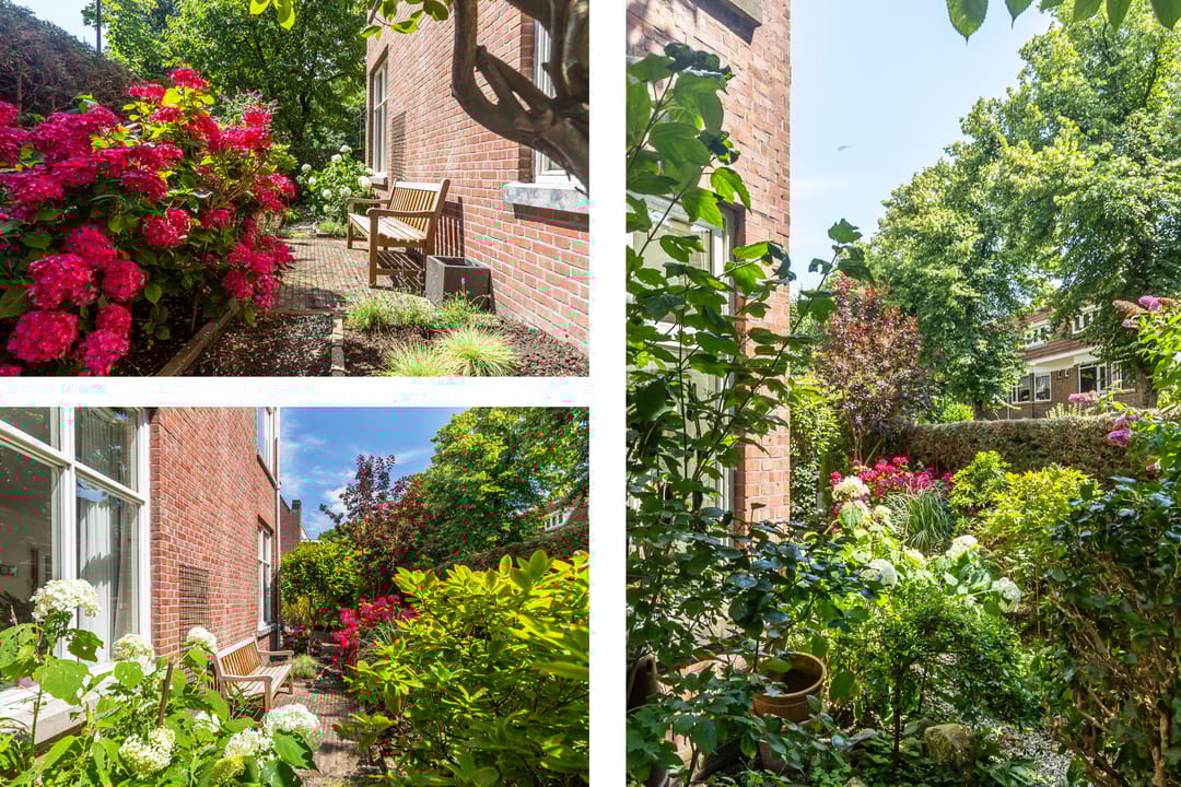 Foto 16 van Beetslaan 3