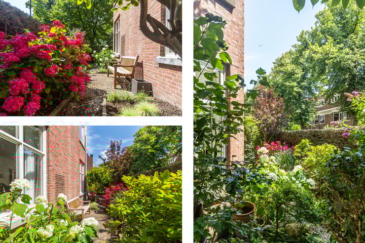 Foto 16 van Beetslaan 3