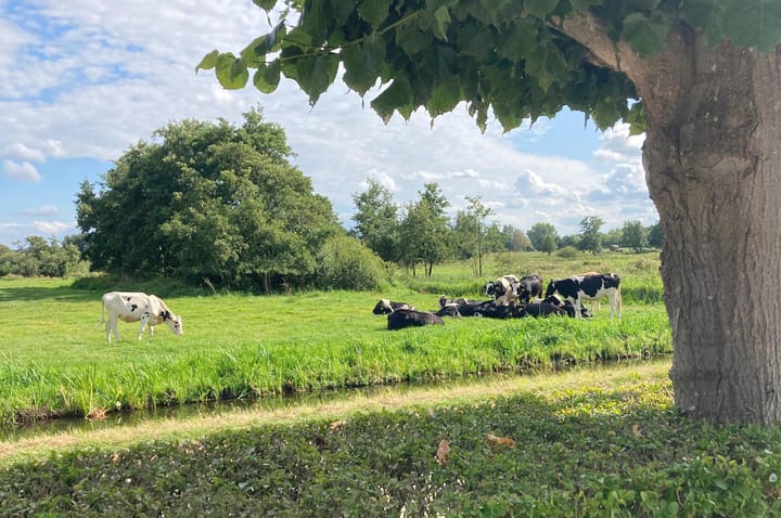 Foto 36 van Kortenhoefsedijk 44