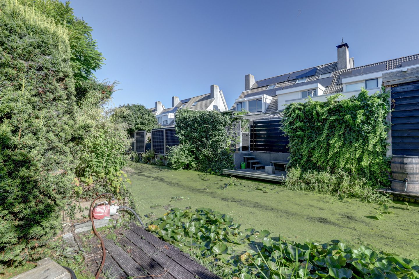 Foto 34 van Ranonkeldreef 15