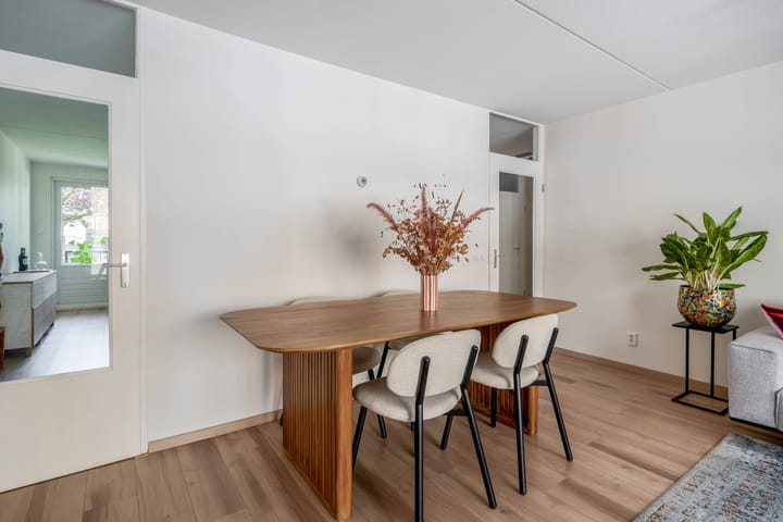 Foto 17 van Ruivenstraat 127