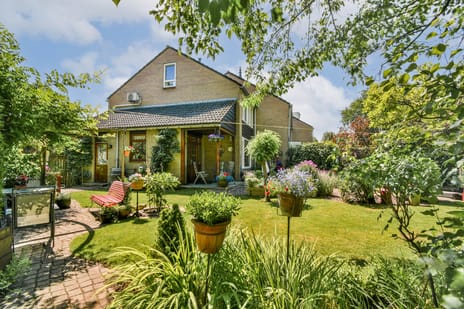 Prunuslaan thumbnail