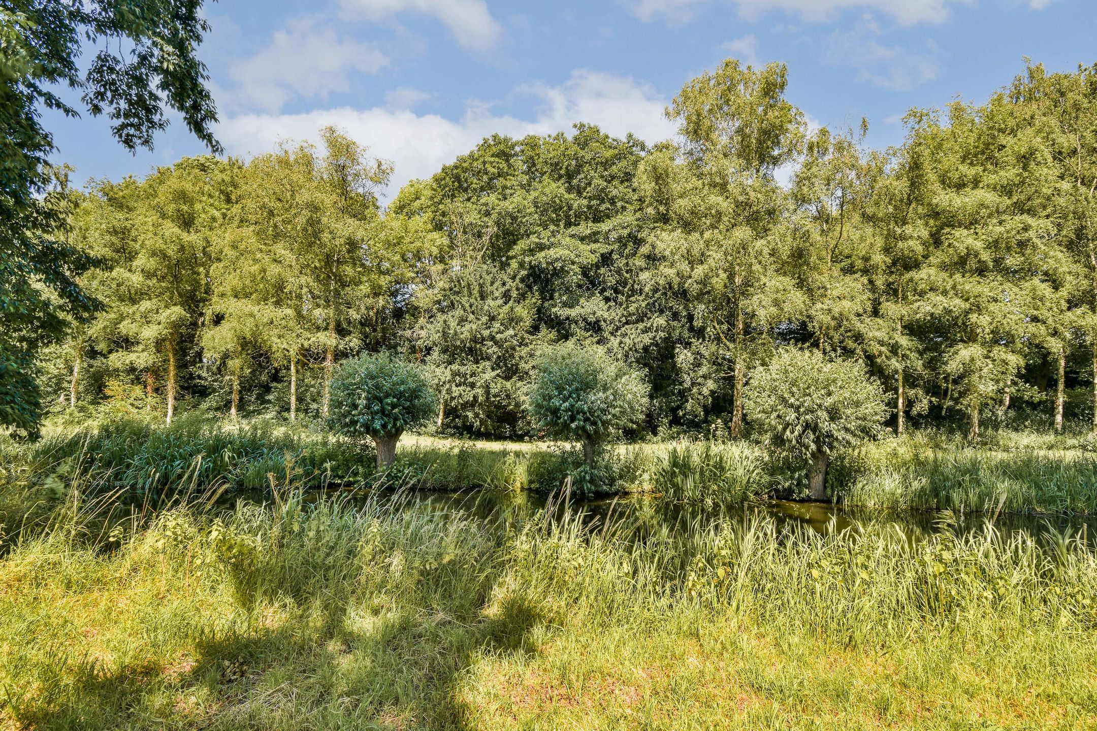 Photo 27 of Prunuslaan 2