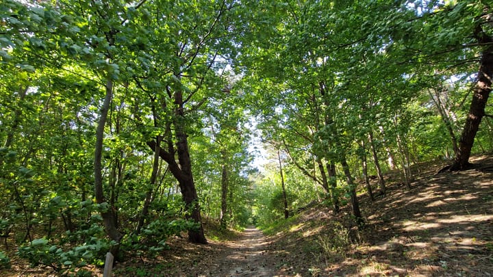 Photo 33 of Duinweg 121