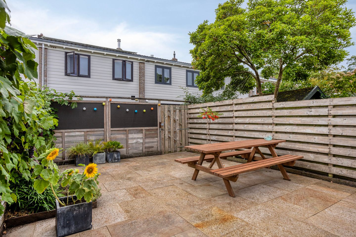 Photo 5 of Burgemeester de Geusstraat 6