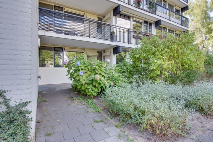 Foto 5 van Buitenpepersdreef 43