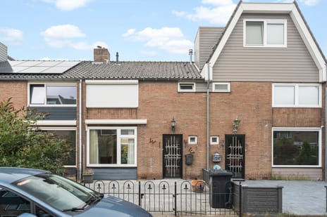 undefined main image