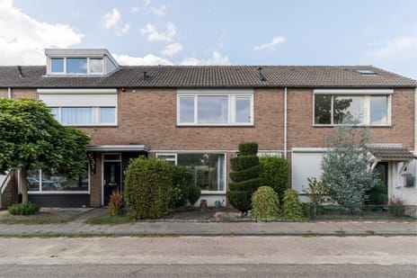 undefined main image