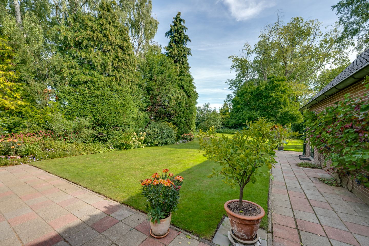 Foto 5 van Gommelsestraat 22