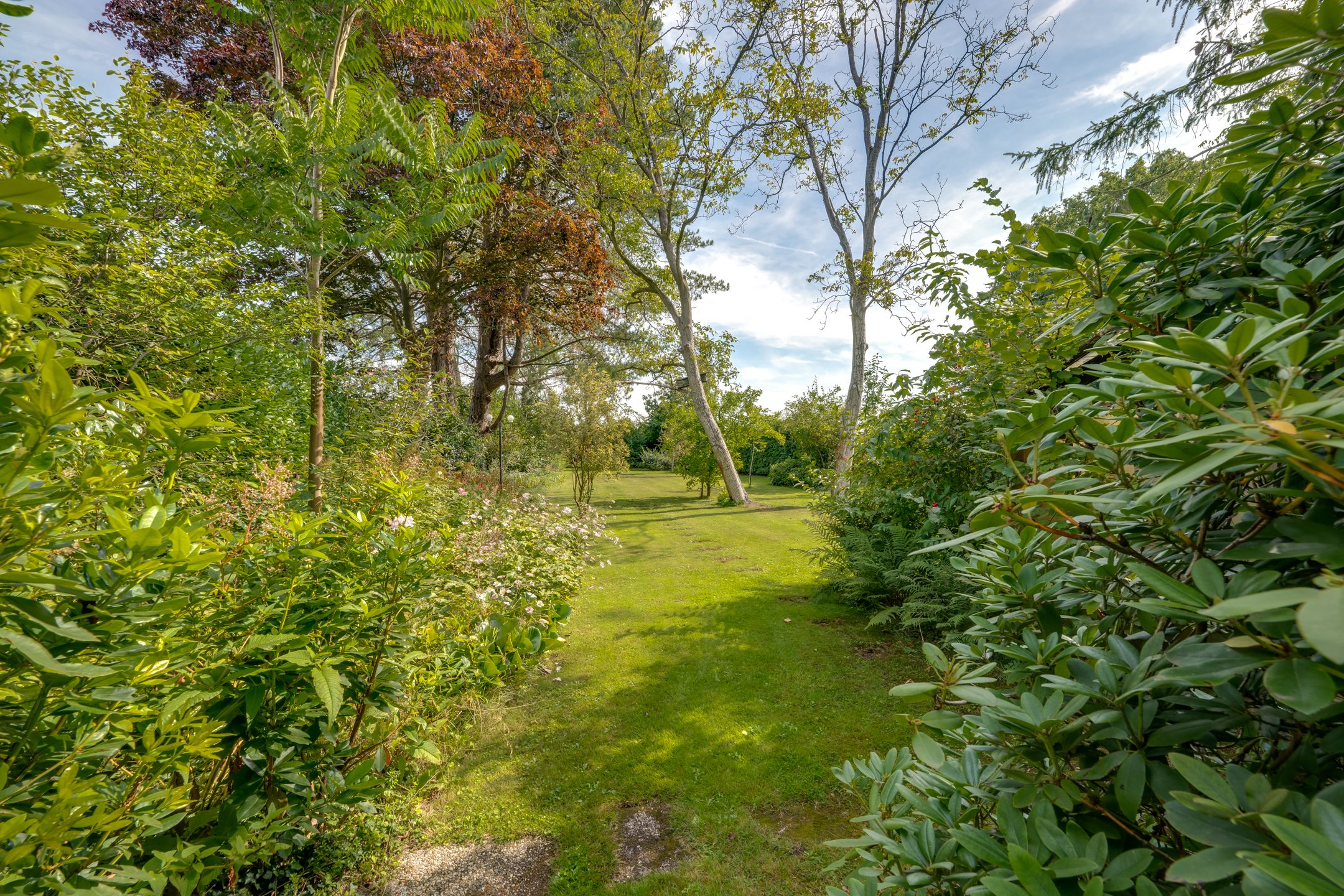 Foto 45 van Gommelsestraat 22