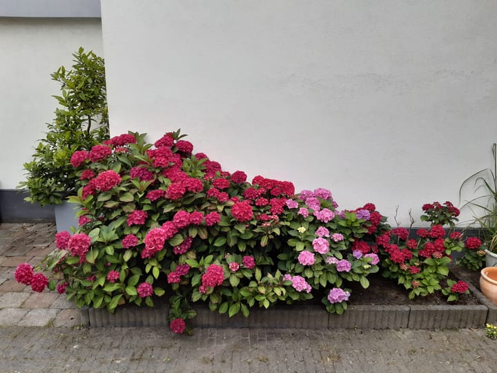 Foto 33 van Esstraat 77