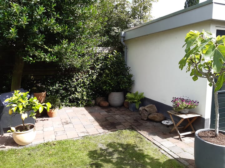 Foto 32 van Esstraat 77