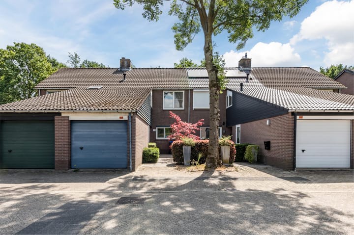 Foto 1 van Buizerd 114