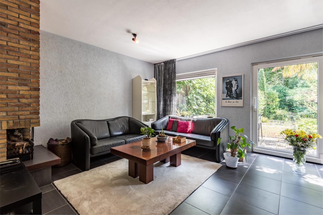 Foto 2 van Buizerd 114