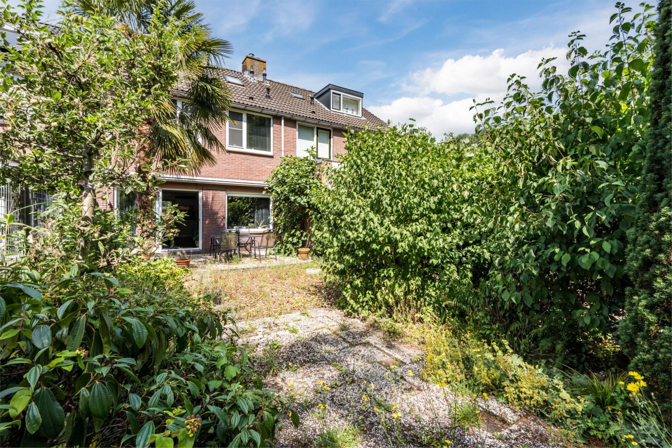 Foto 6 van Buizerd 114