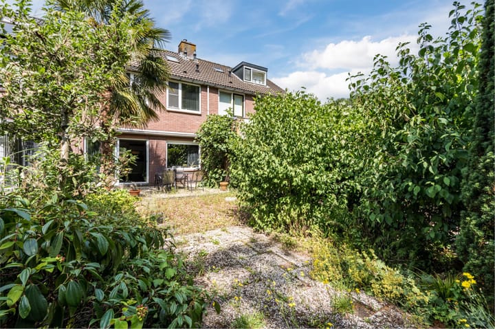 Foto 6 van Buizerd 114