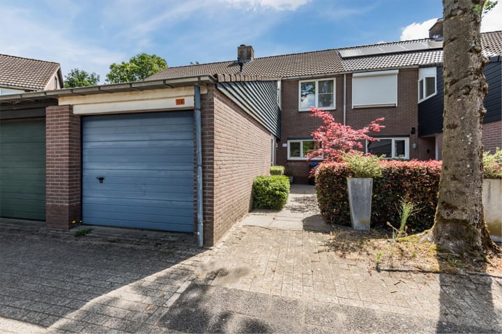 Foto 7 van Buizerd 114