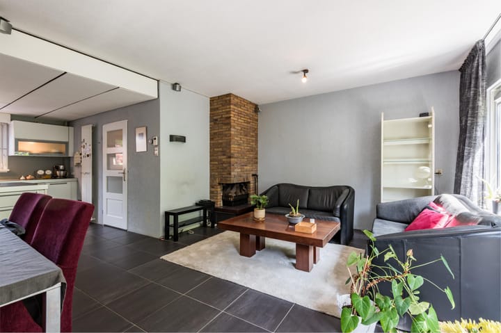 Foto 9 van Buizerd 114