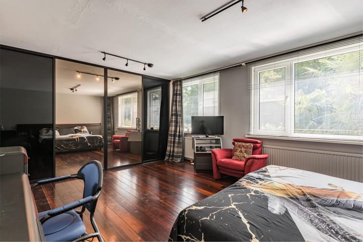 Foto 15 van Buizerd 114