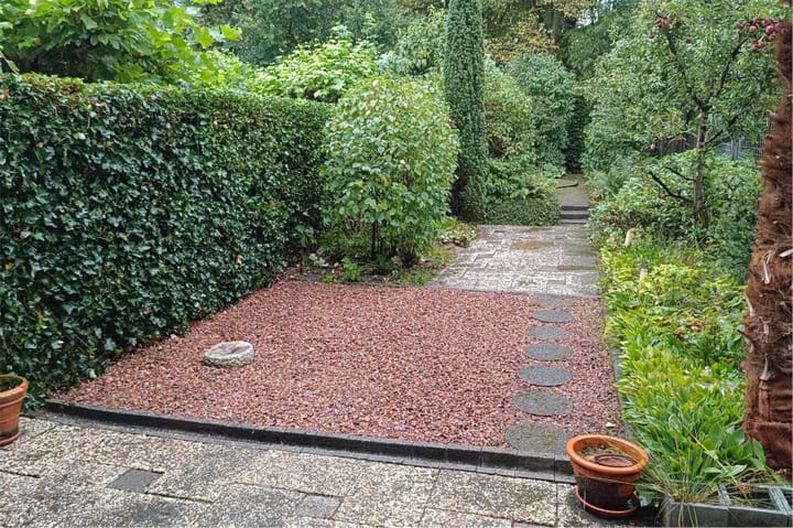 Foto 28 van Buizerd 114