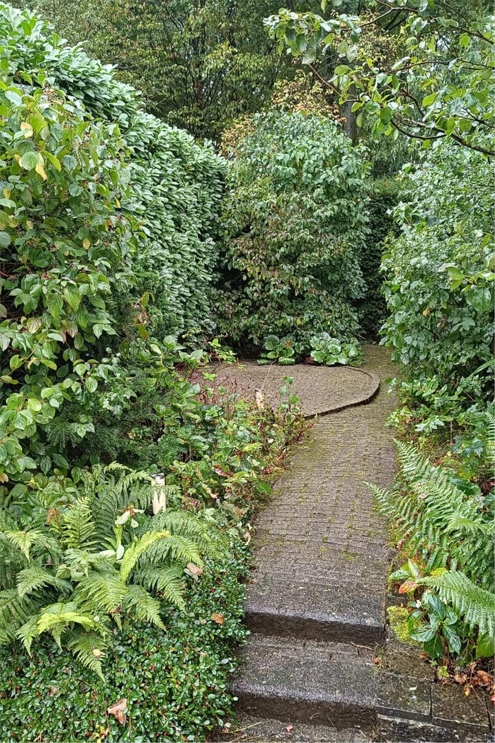 Foto 29 van Buizerd 114