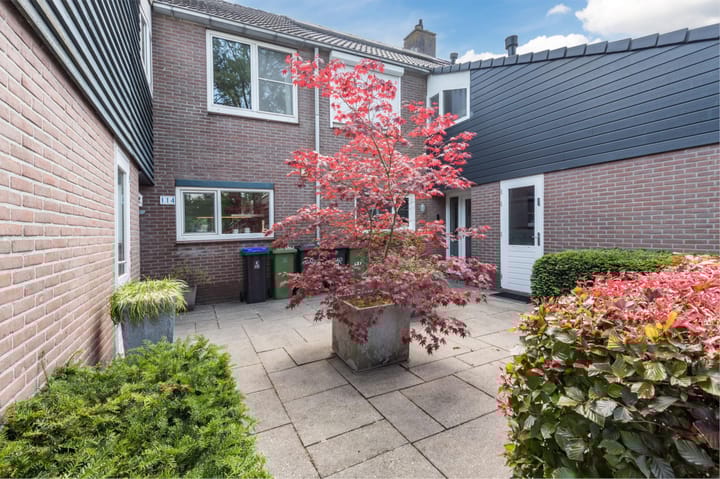 Foto 31 van Buizerd 114