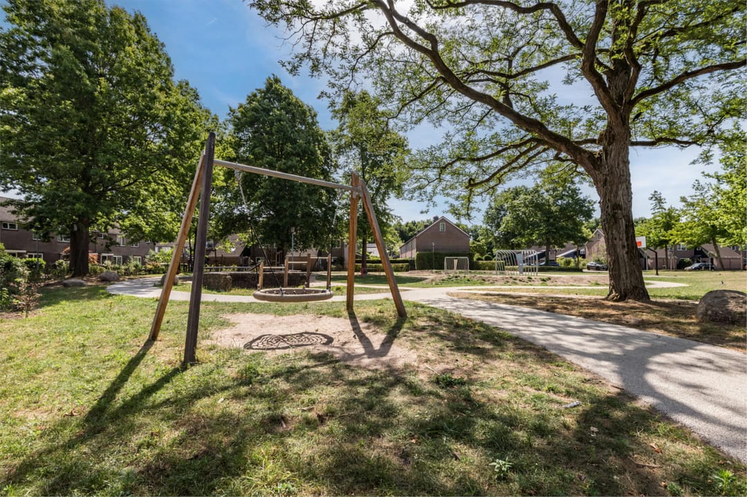 Foto 32 van Buizerd 114