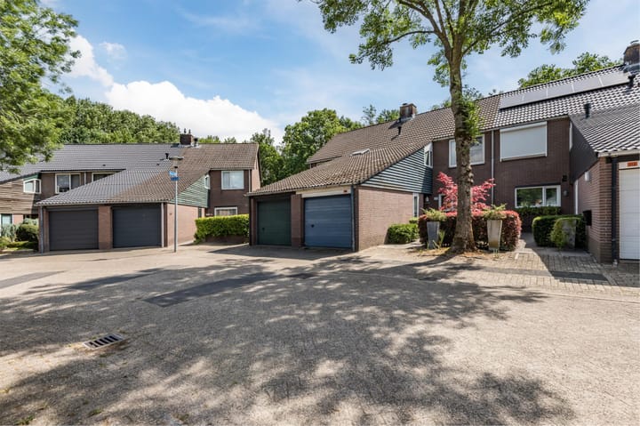 Foto 33 van Buizerd 114