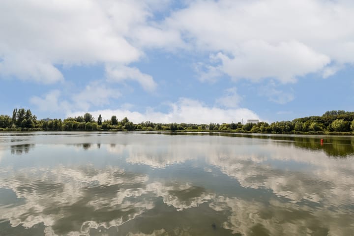 Photo 27 of Edward Masseystraat 3