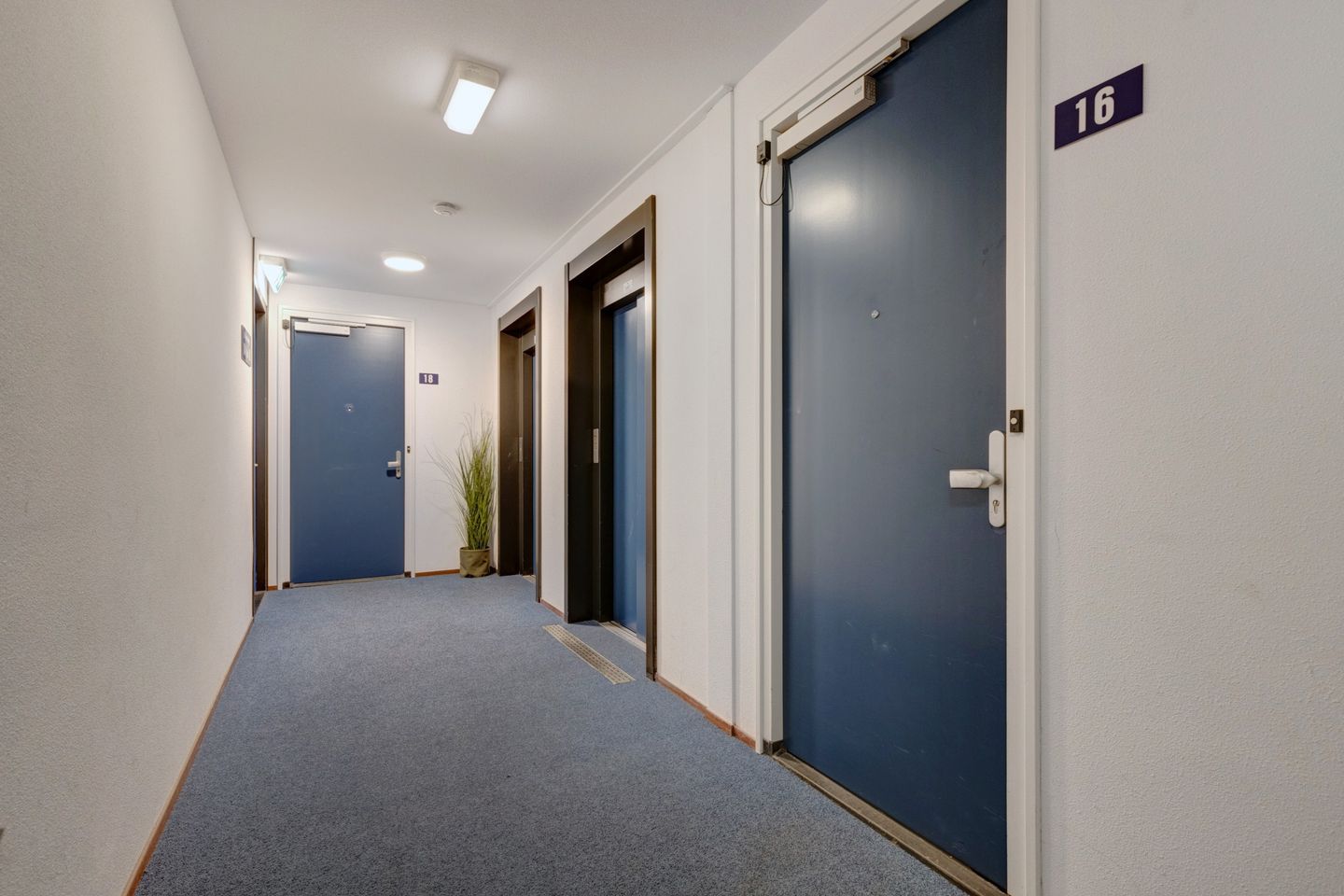 Foto 20 van Draaiom 16