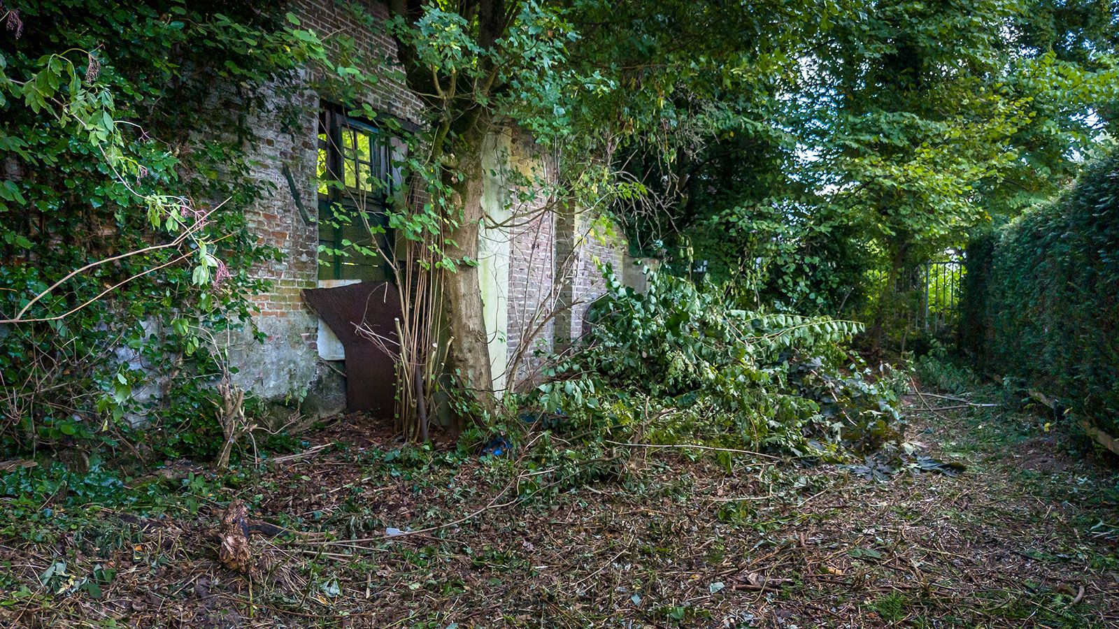 Foto 21 van Schelsberg 171