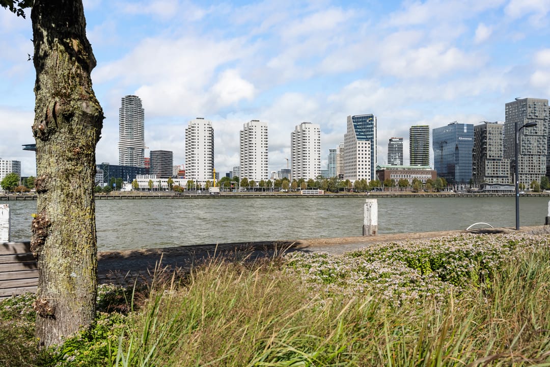 Photo 22 of Boompjes 381