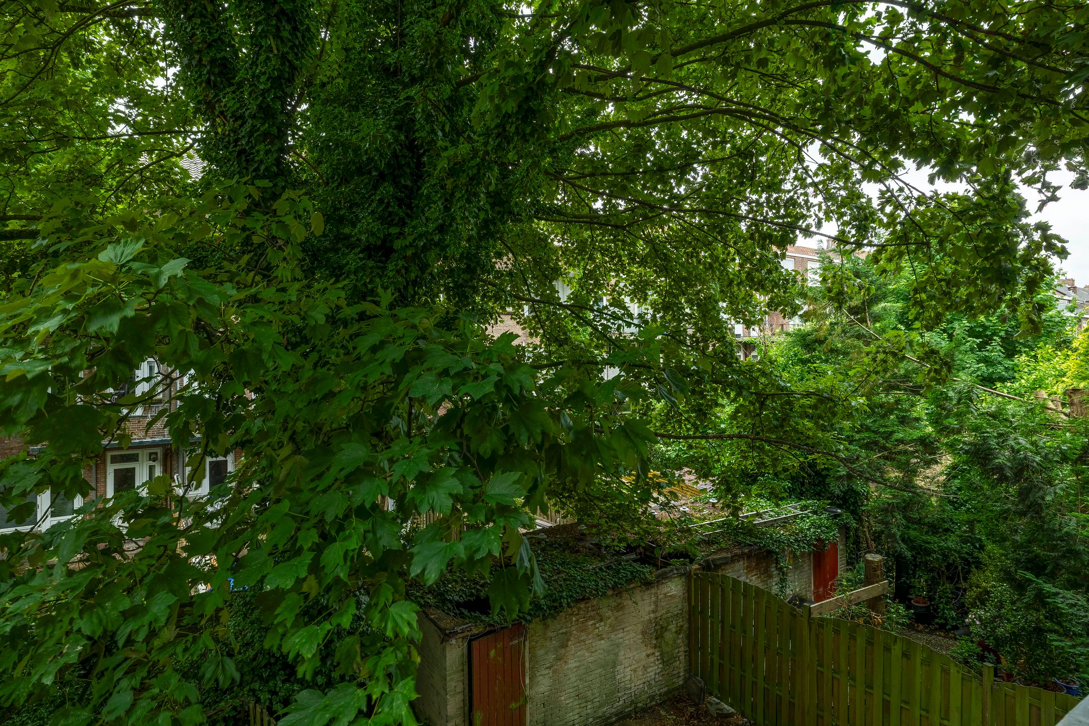 Foto 18 van Pleinweg 94-C