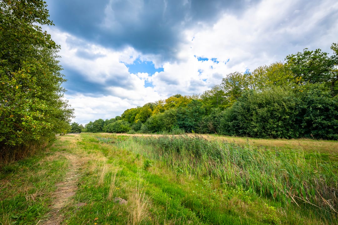 Foto 38 van De Lanoy Meijerhof 11