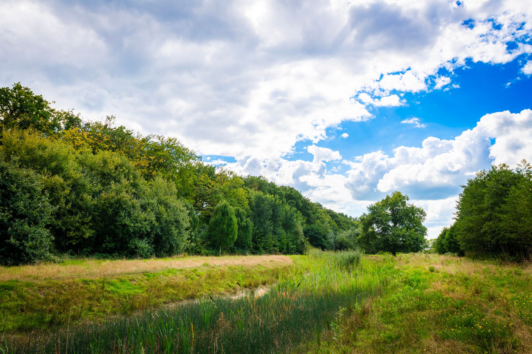 Foto 39 van De Lanoy Meijerhof 11