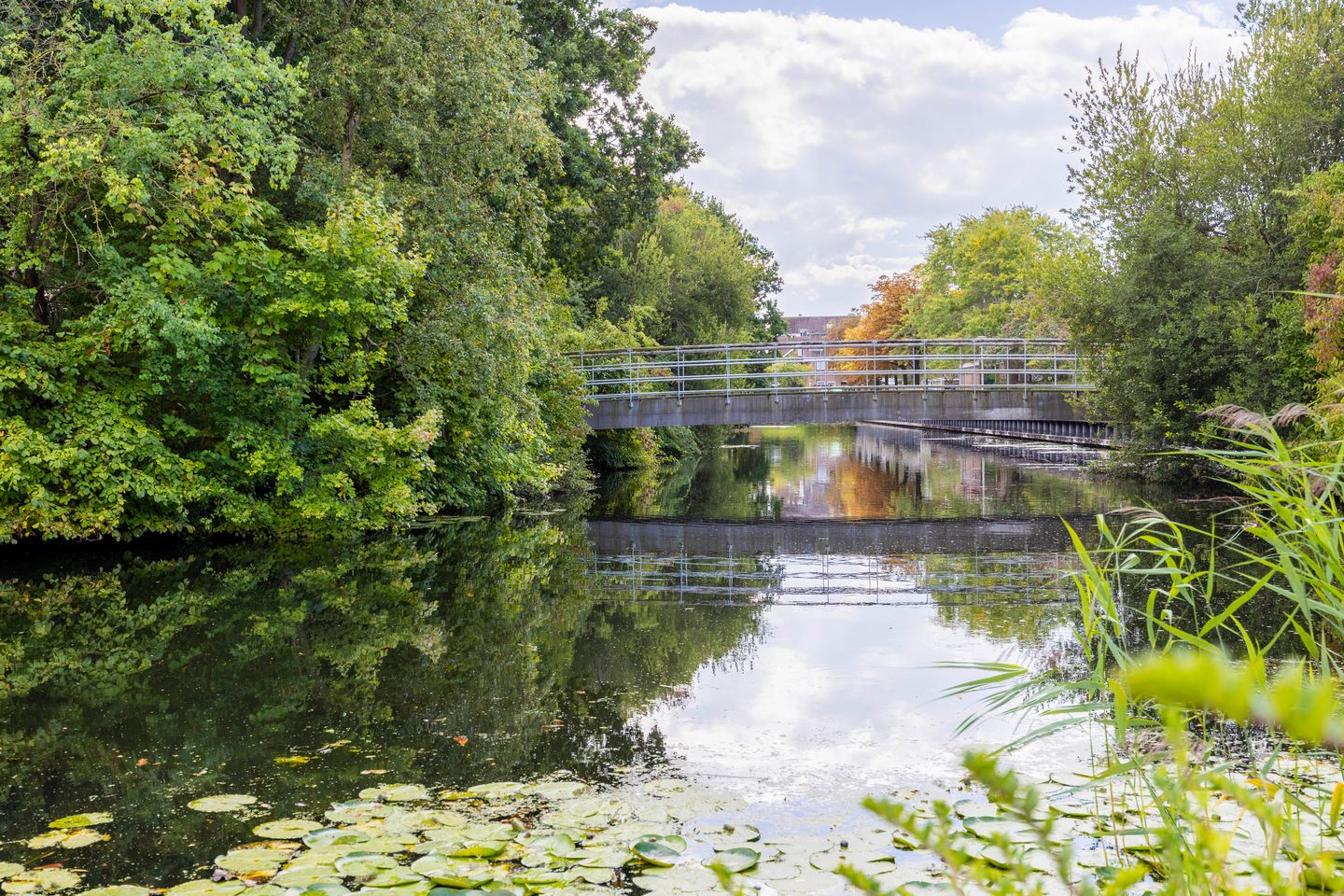 Photo 35 of Tjalkstraat 9-A