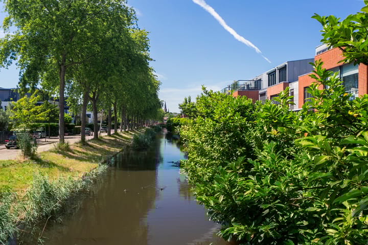 Foto 35 van Purperreiger 54